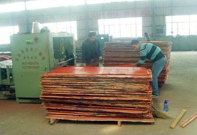 安邦系列建筑模板精選圖片庫——合肥市新站區(qū)安邦建材經營部